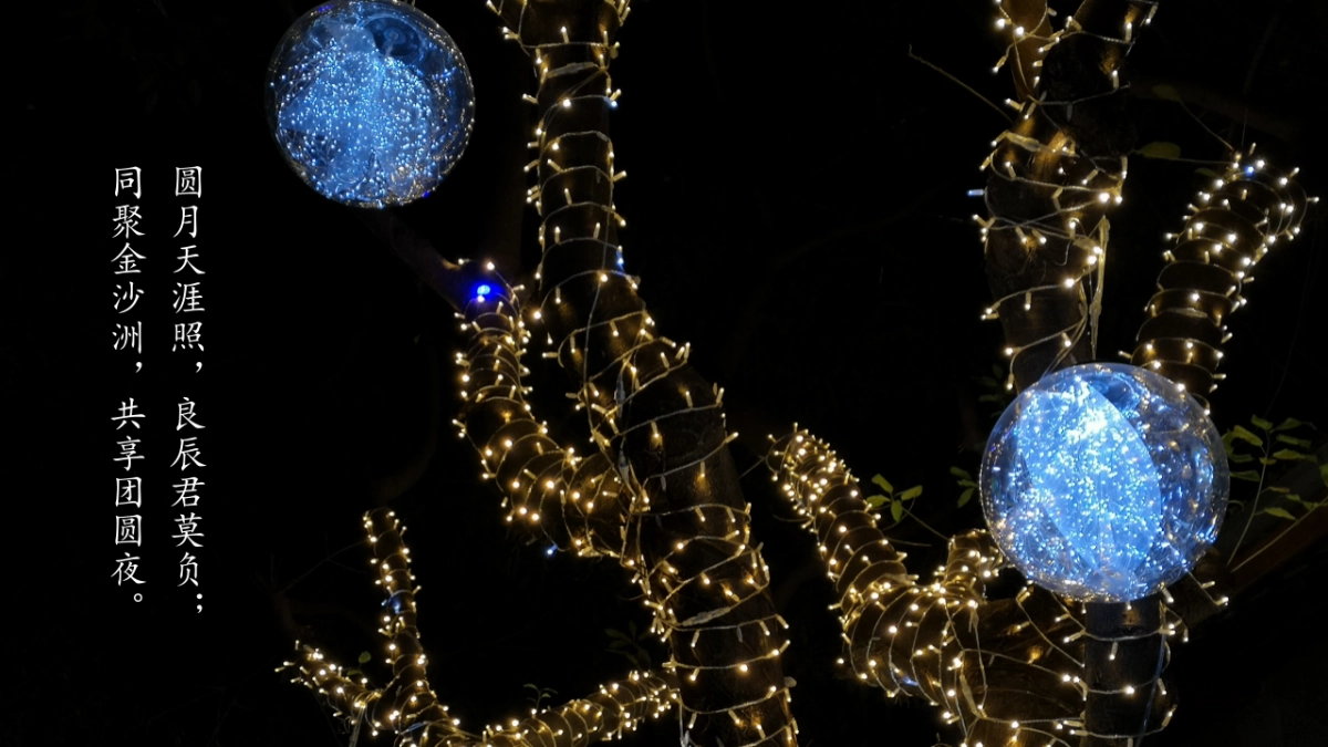 2021地产项目中秋业主答谢晚会“月满金秋 悦享团圆”活动策划方案_第5页