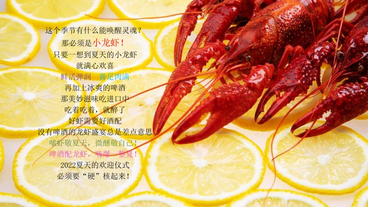 2022地产项目龙虾啤酒音乐节活动策划方案_第3页