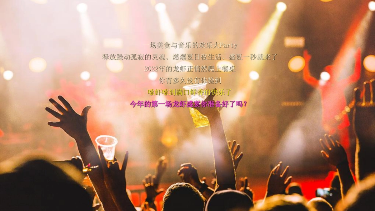 2022地产项目龙虾啤酒音乐节活动策划方案_第5页