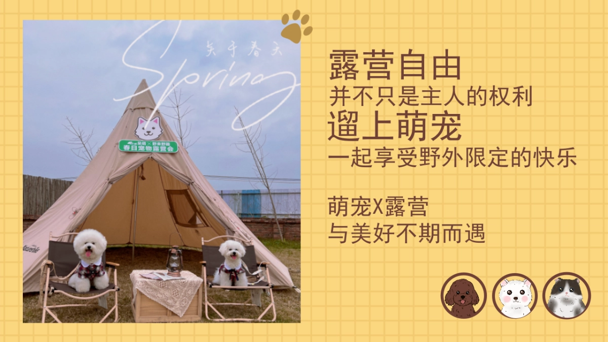 2022地产项目萌宠露营节活动策划方案_第2页