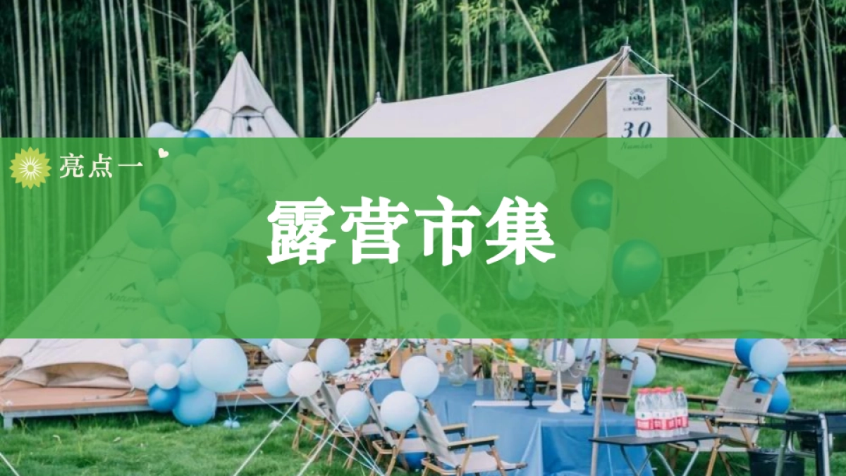 2022地产项目七房地产=夕露营场“拾野归来“策划方案_第8页
