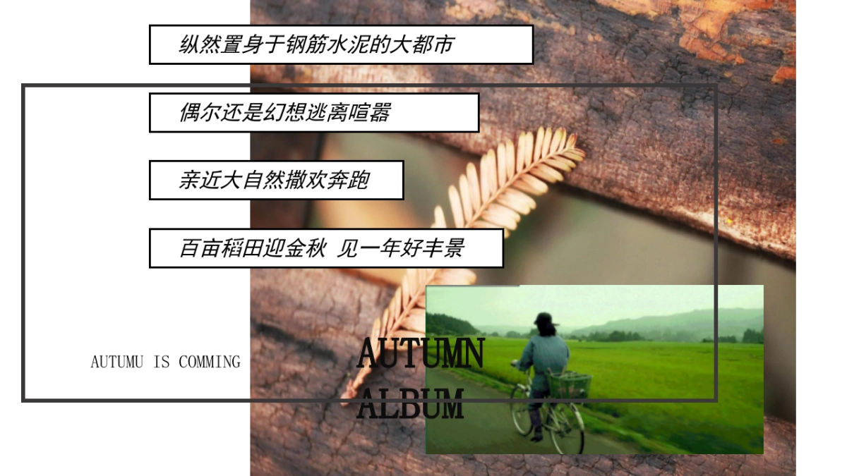 2022地产项目秋日田野丰收主题嘉年华活动策划方案_第5页