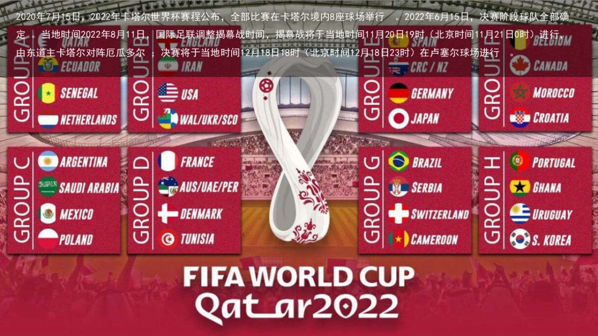 2022地产项目世界杯主题嘉年华活动策划方案_第4页