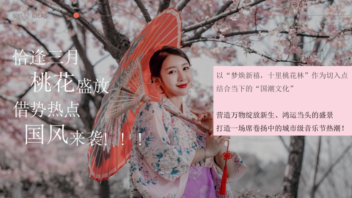 2022地产项目桃花朵朵音乐节活动策划方案_第6页