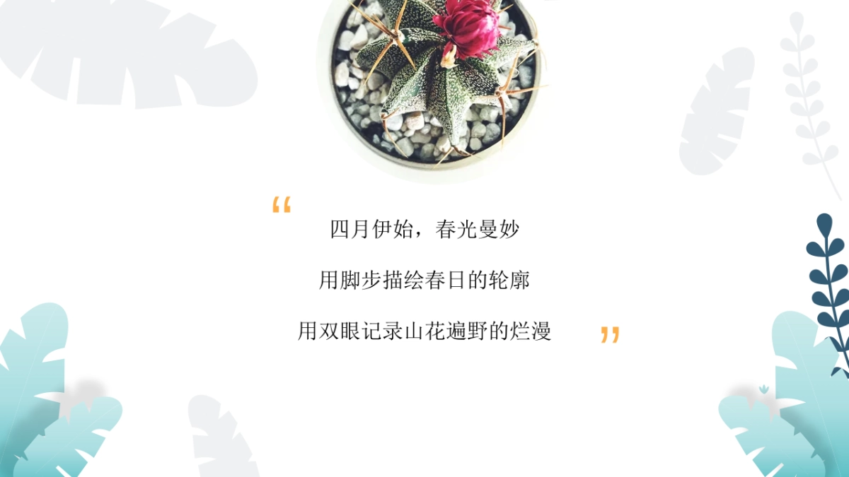 2022地产项目醒春计划“春日‘dou’起来 潮趣SHOW出彩”活动策划方案_第2页