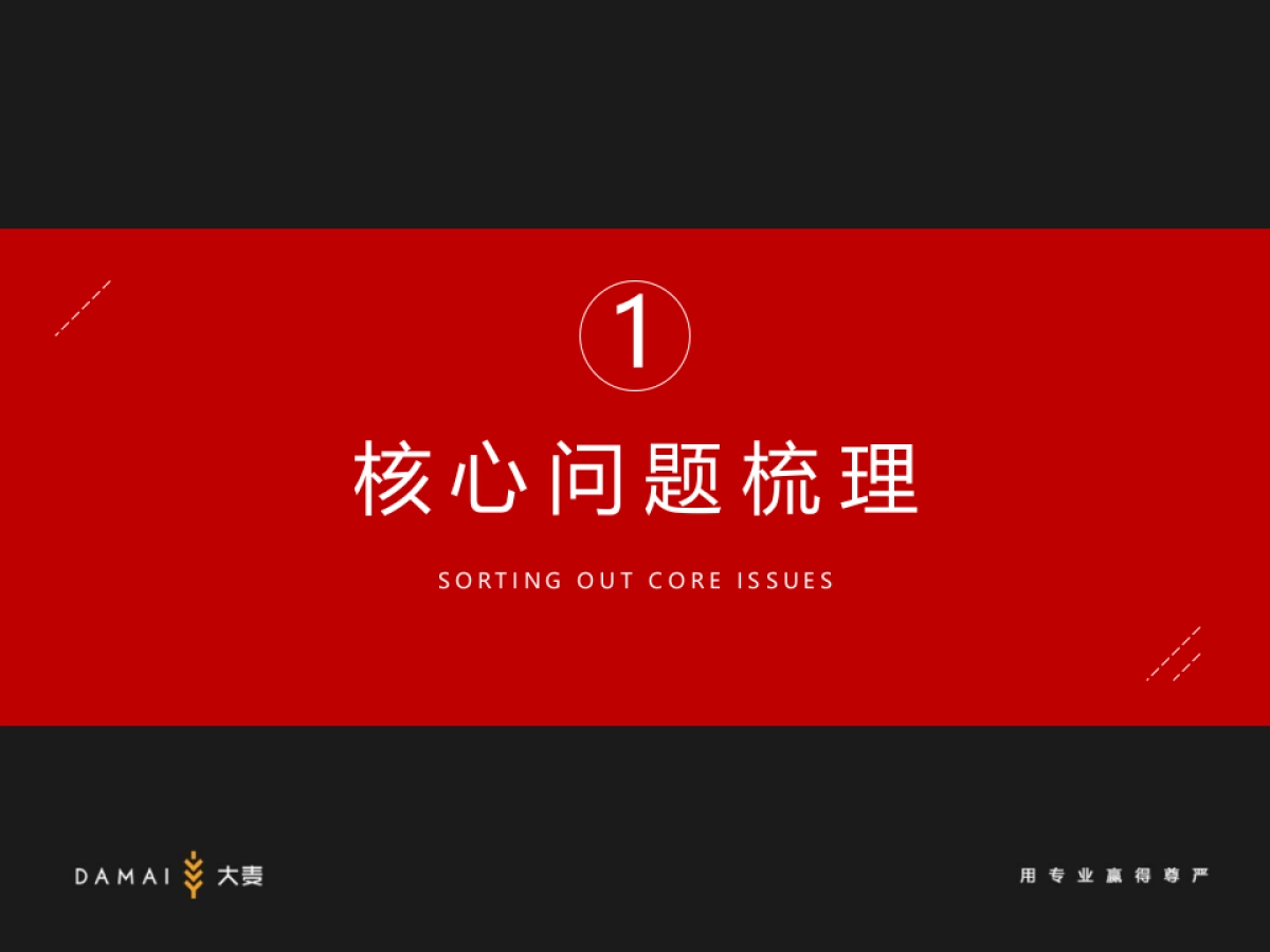 地产项目年度推广策略方案_第2页