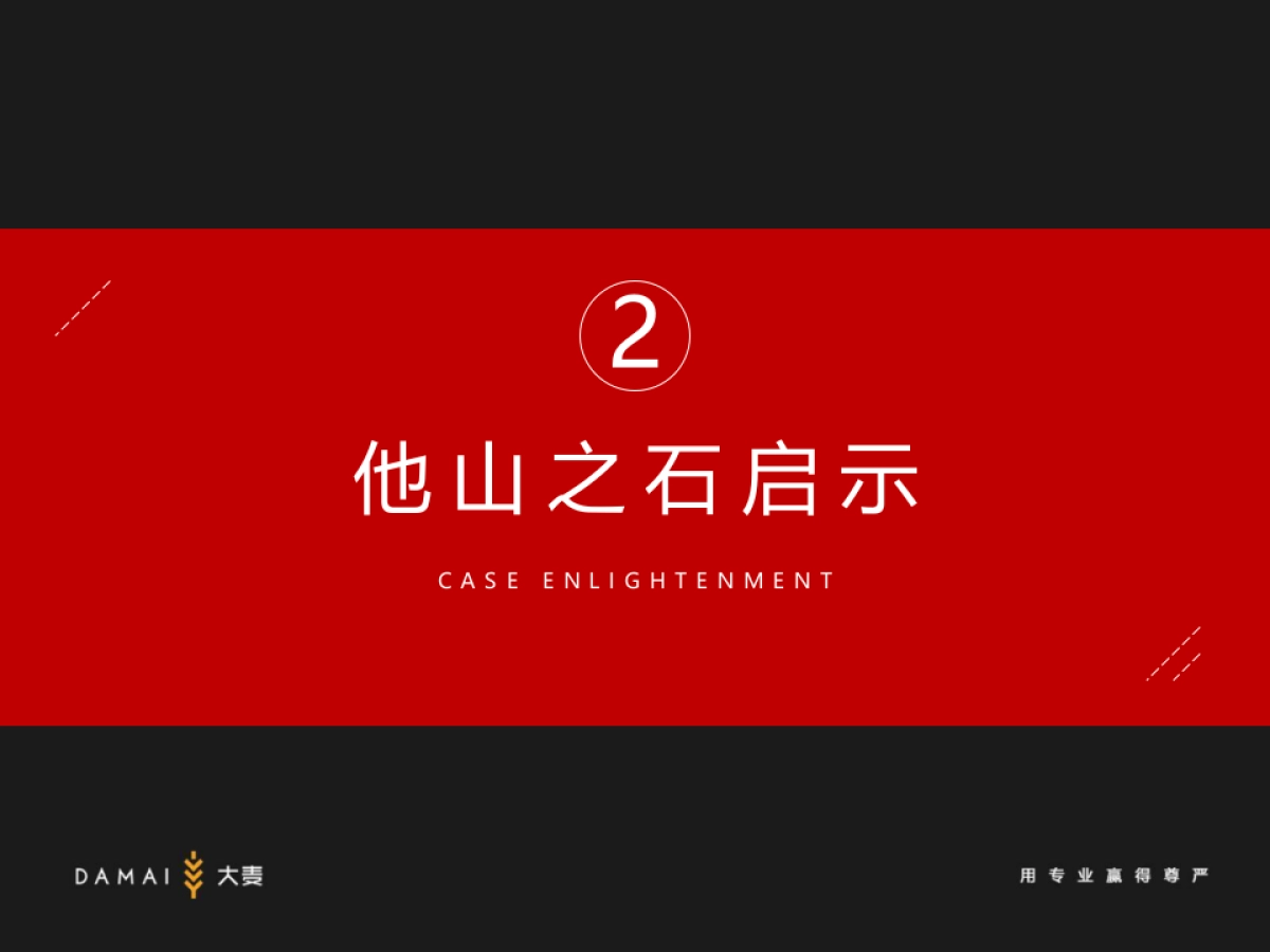 地产项目年度推广策略方案_第5页