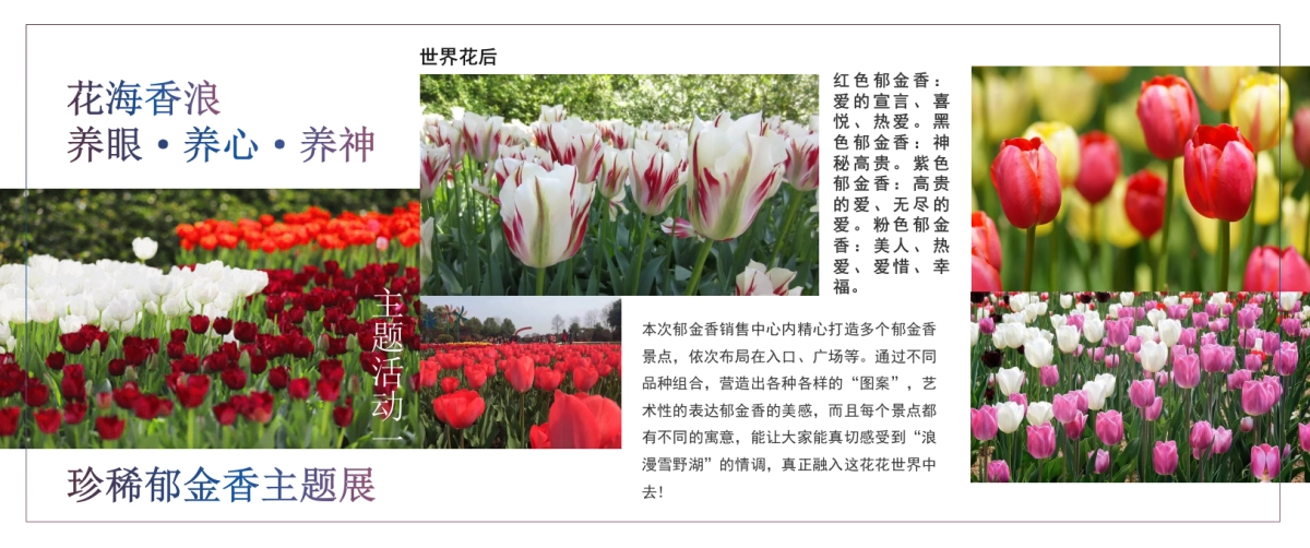 2023地产项目4月春季主题活动策划方案_第5页