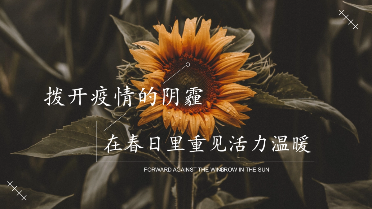 2023地产项目春季“春风十里不如你”系列活动策划方案_第5页