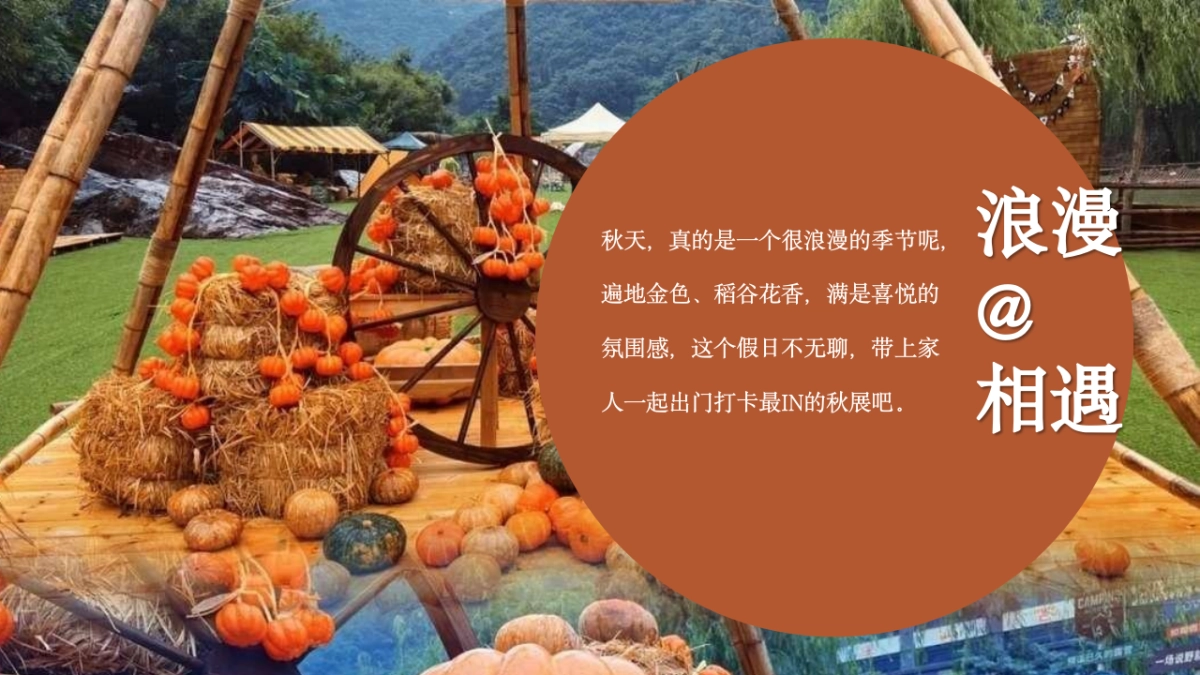 2023地产项目金秋丰收节系列“金秋漫游丰收季 拾趣时光嘉年华”活动策划方案_第4页