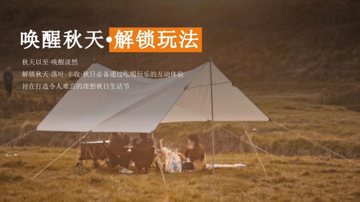 2023地产项目秋日城市户外露营计划“秋の时光”活动策划方案_第3页