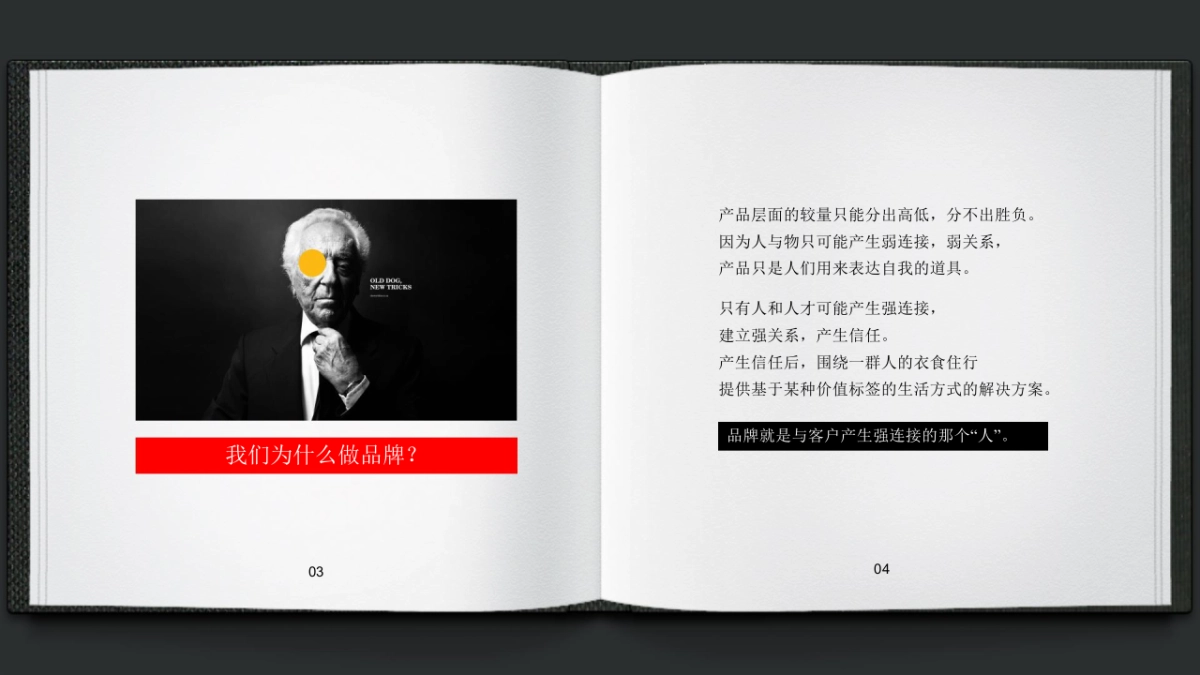 保利地产(青岛)品牌年度推广方案_第4页