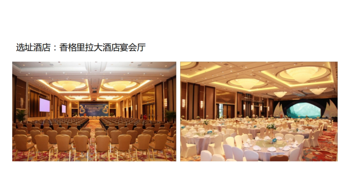 地产千人分销商大会_第10页