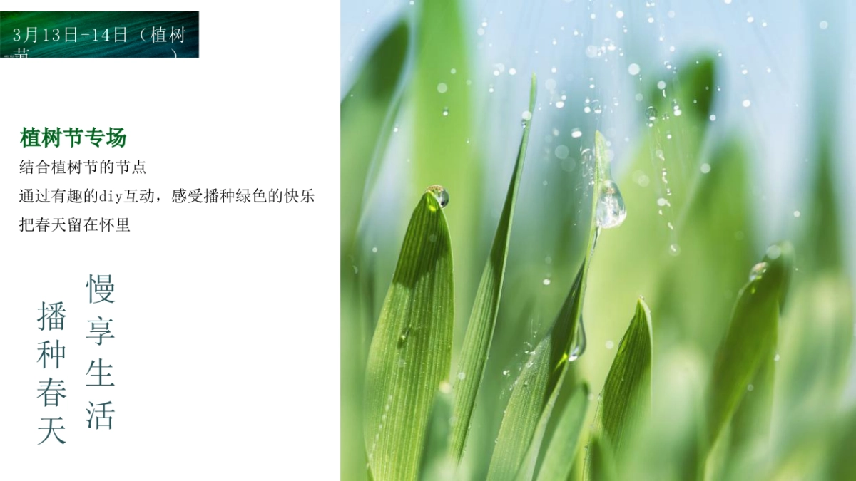 地产项目“美好时光 纵享生活”主题3月-12月年度周末暖场活动策划方案_第6页