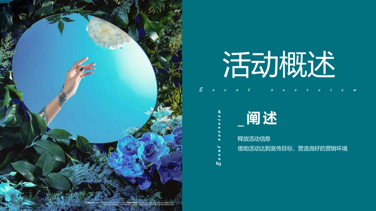 地产项目实景示范区房地产=开放“与城市  共著时代芳华”主题活动策划方案_第6页