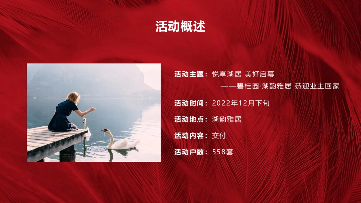 房地产交房交付“悦享湖居 美好启幕”主题活动策划方案_第9页