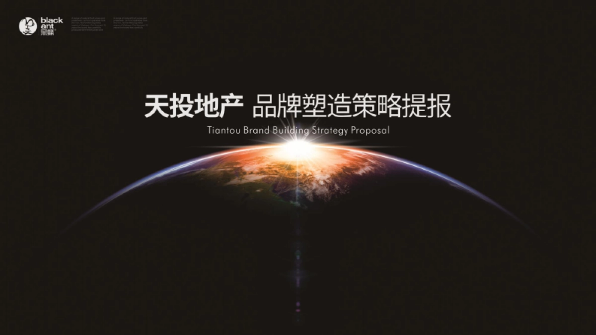 黑蚁设计-天投地产品牌塑造策略提报_第1页