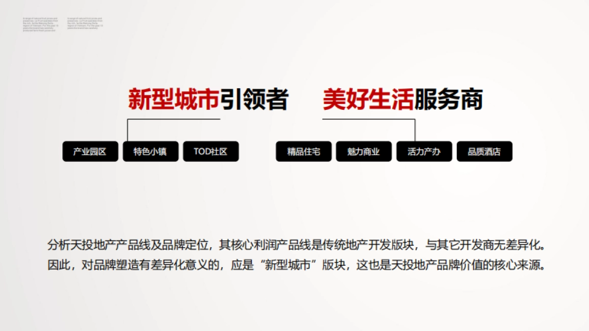 黑蚁设计-天投地产品牌塑造策略提报_第8页