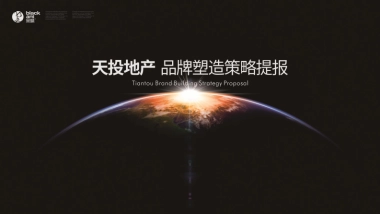 黑蚁设计-天投地产品牌塑造策略提报