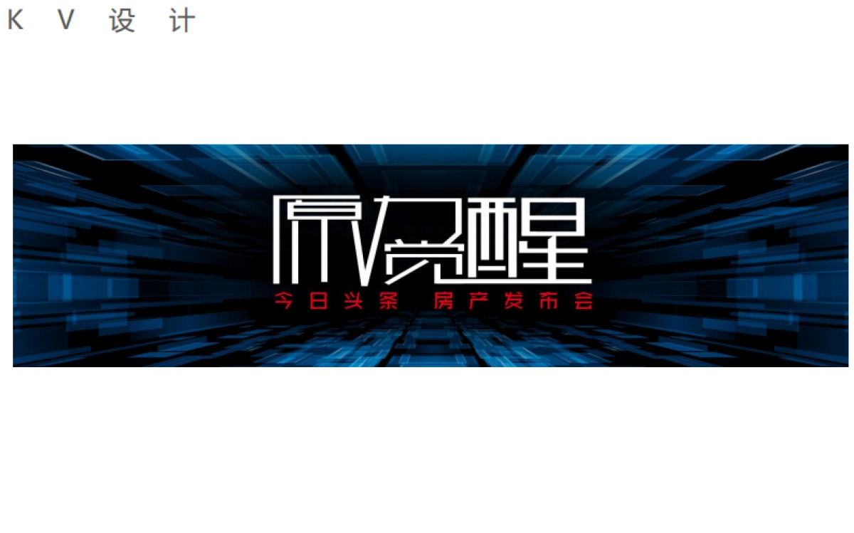 今日头条房地产“算数”发布会方案-海唐_第9页