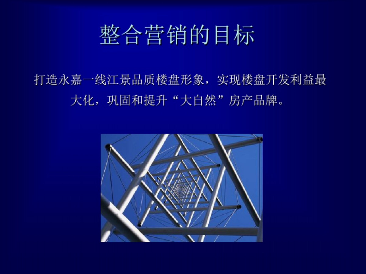 永嘉大自然滨江丽景地产项目营销推广_第2页
