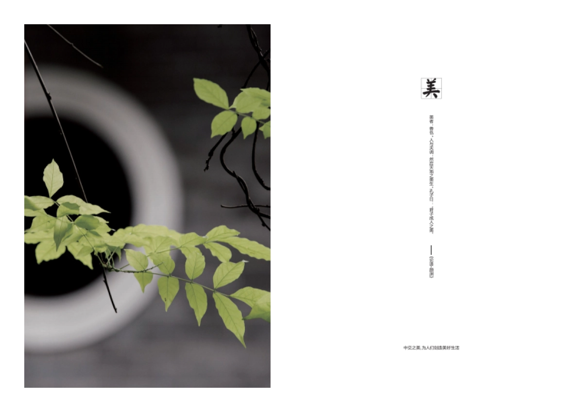 中交地产品牌手册_第6页