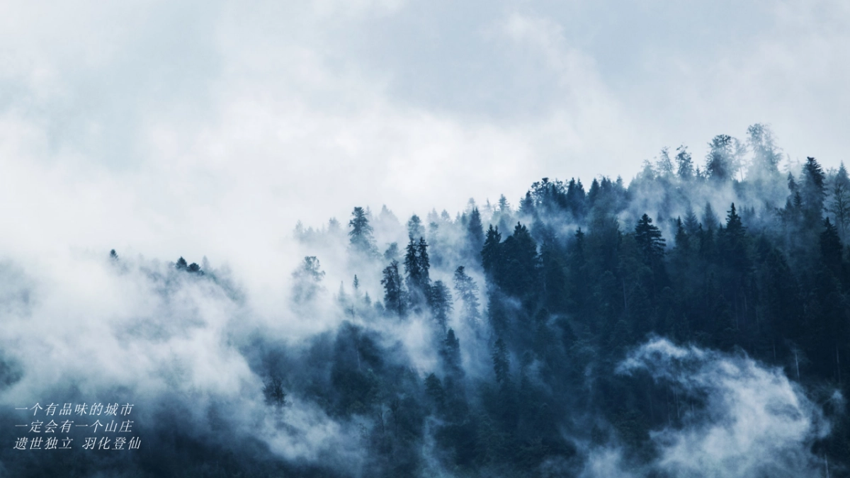 2018富邦荪湖山庄顶级山水文化私宴策划案_第4页