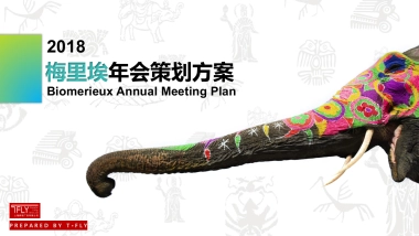 2018梅里埃年会策划方案
