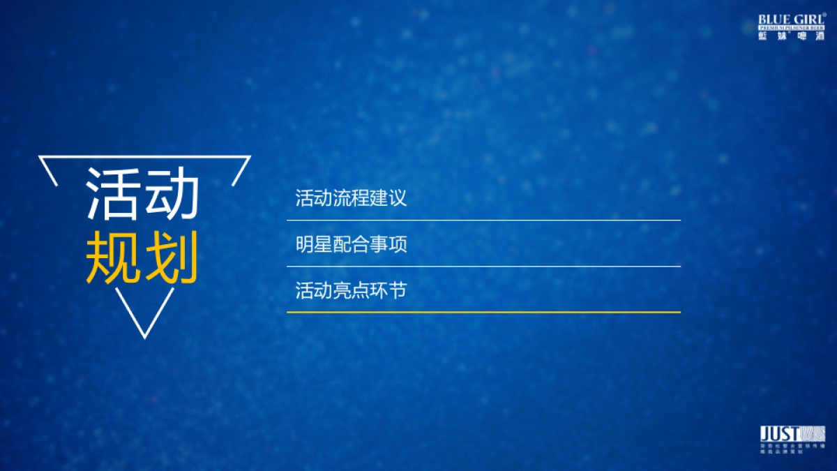 2017爱尚蓝妹明星派对创意方案_第10页