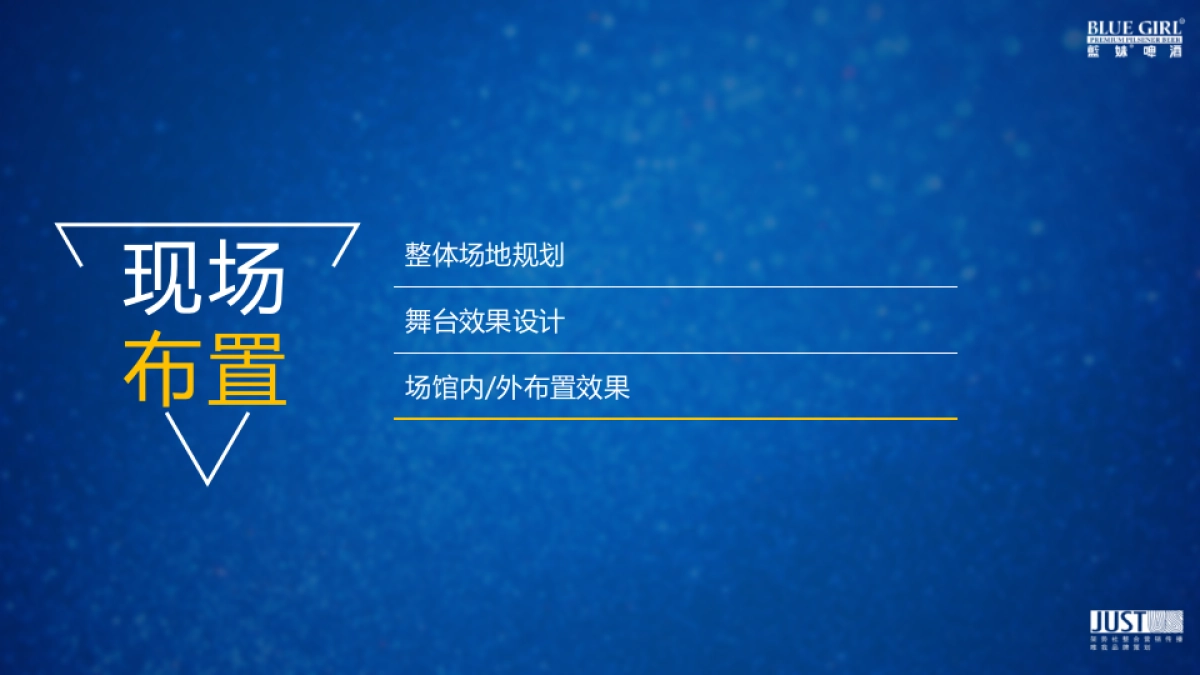 2017爱尚蓝妹明星派对创意方案_第5页