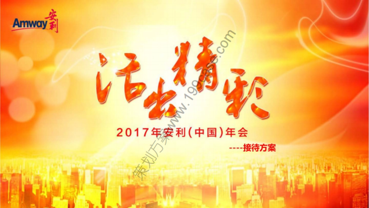 2017安利年会活动策划接待方案-155P_第1页