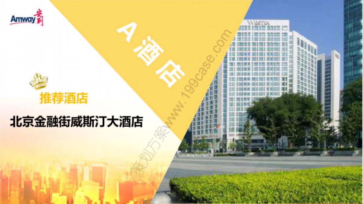 2017安利年会活动策划接待方案-155P_第9页