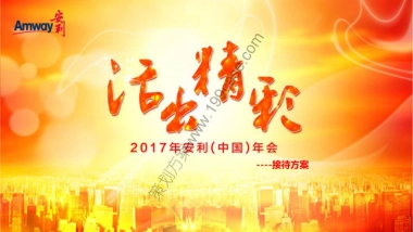 2017安利年会活动策划接待方案-155P