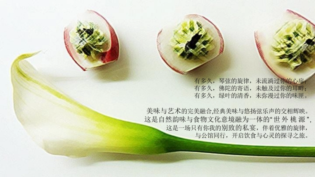 2017宝能公馆米其林私宴臻享暨公馆楼王精作映现活动方案_第7页