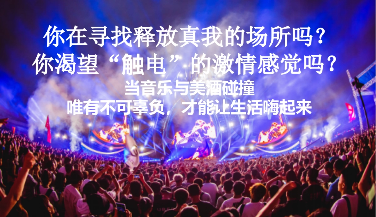 2017动力火车苏打酒电音派对策划案_第2页