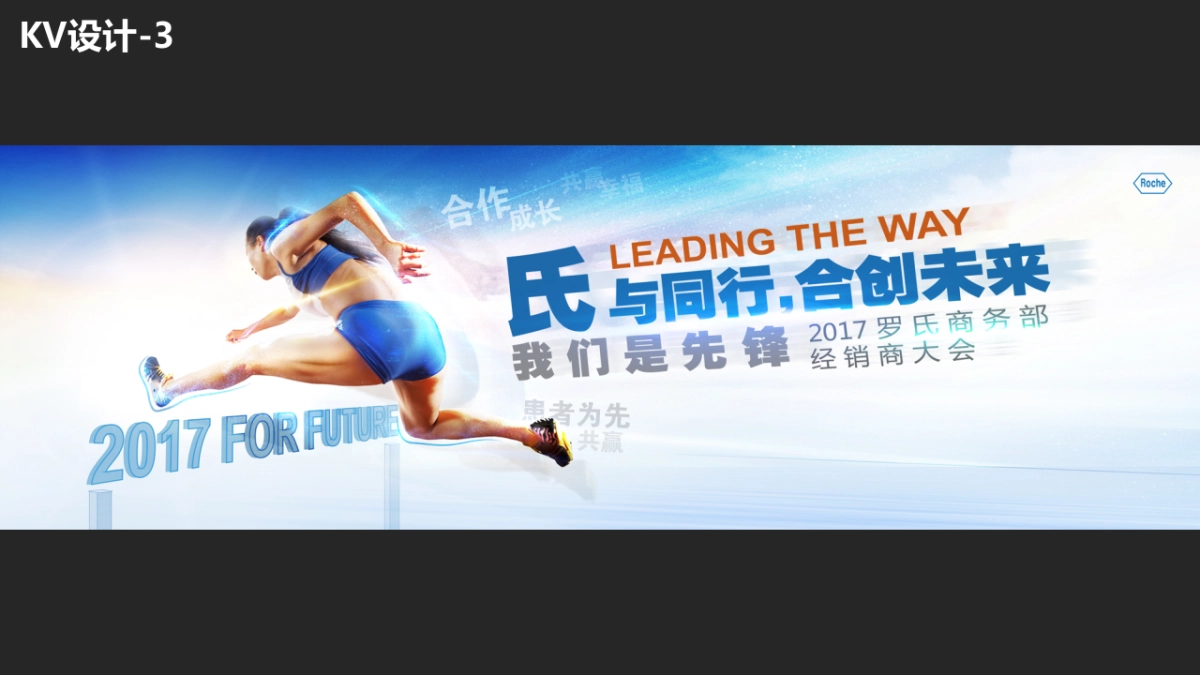 2017罗氏商务部经销商年会策划方案_第10页