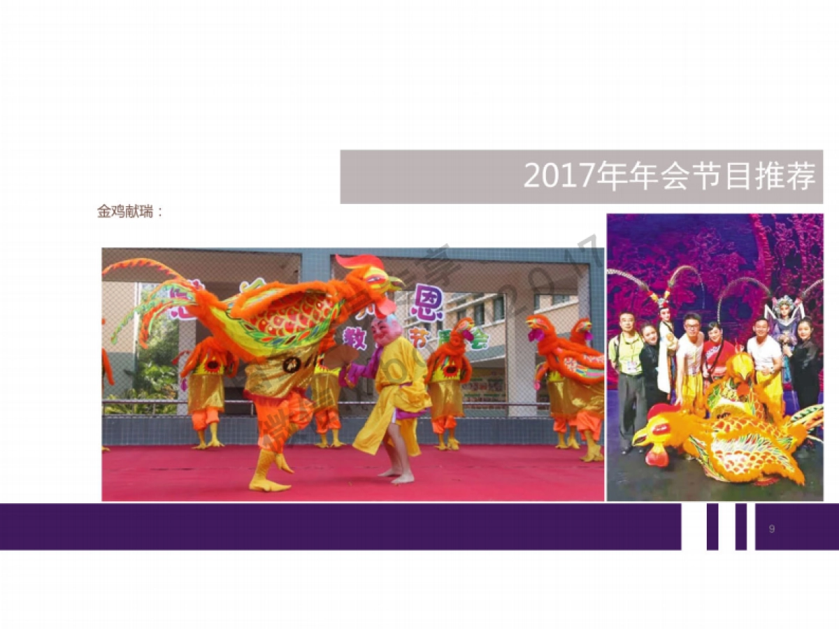 2017年会节目推荐方案_第9页