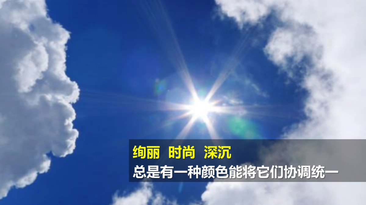 2017苹果中国北京年会策划方案_第7页