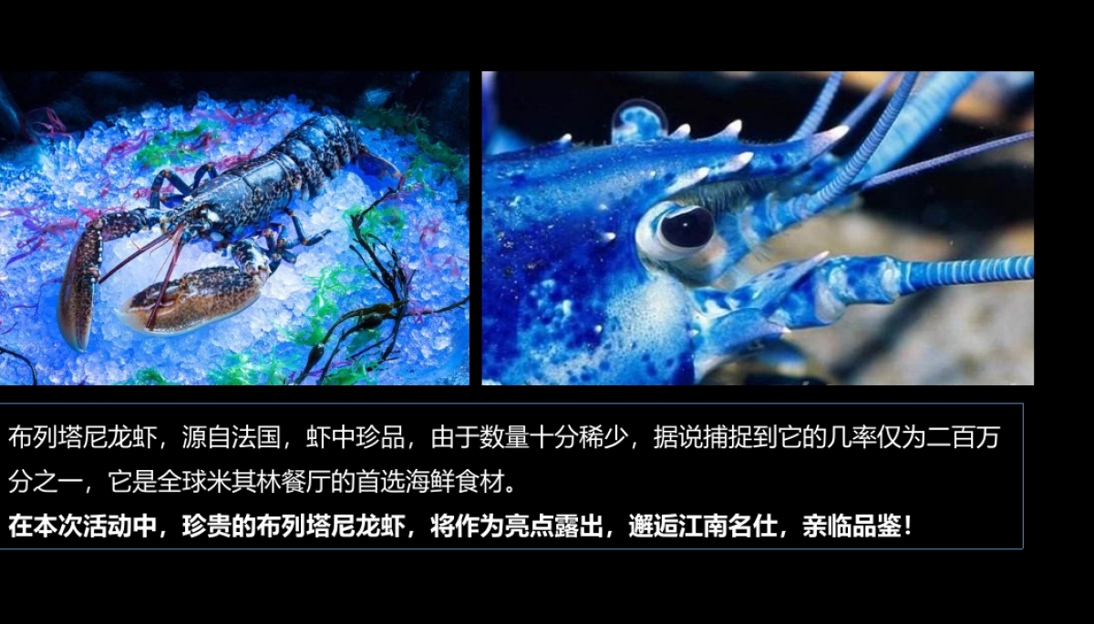 2018慈溪江南大院私享龙虾宴策划案_第2页