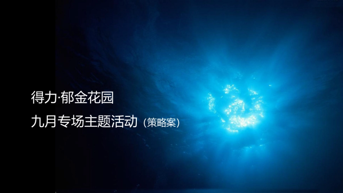 2018得力郁金花园私人定制名仕之夜夏威夷风情泳池派对策略案_第1页