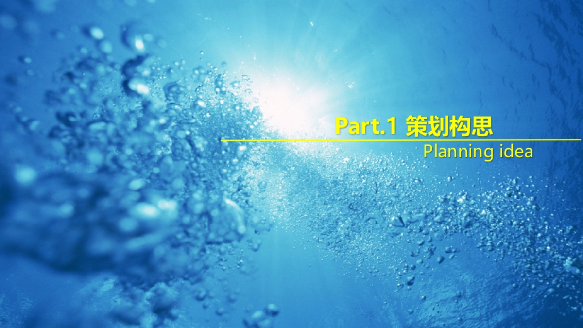 2018得力郁金花园私人定制名仕之夜夏威夷风情泳池派对策略案_第4页