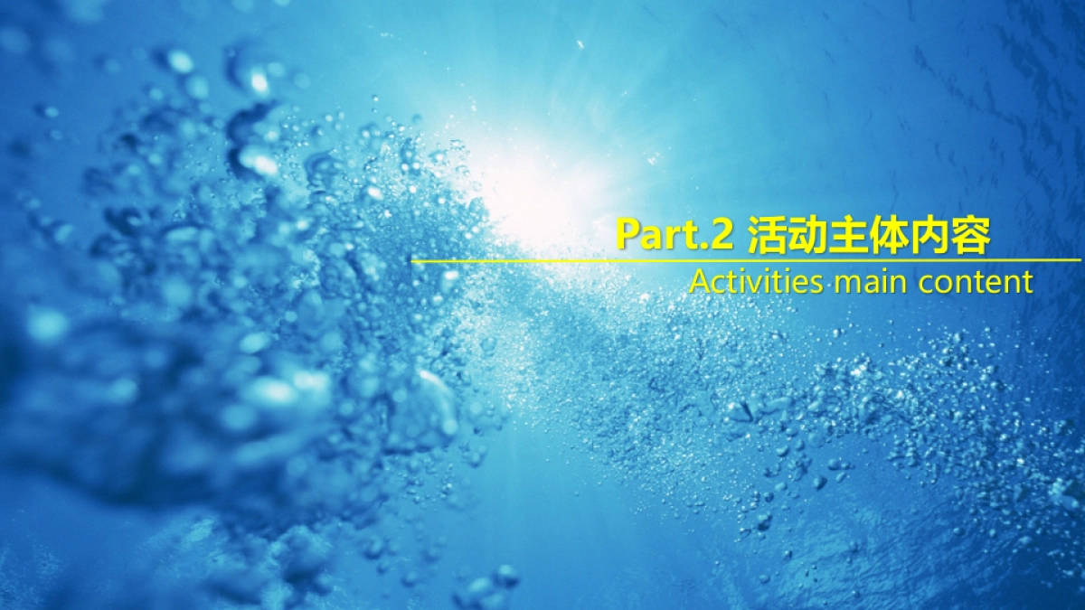 2018得力郁金花园私人定制名仕之夜夏威夷风情泳池派对策略案_第9页