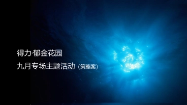 2018得力郁金花园私人定制名仕之夜夏威夷风情泳池派对策略案