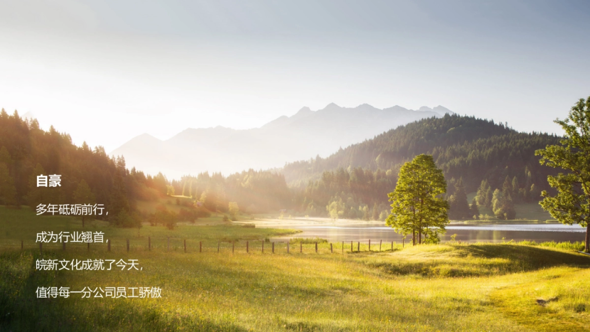 2019安徽皖新文化产业投资集团年会_第6页