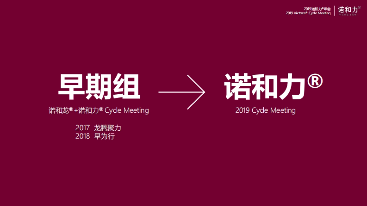 2019诺和力年会策划方案_第3页