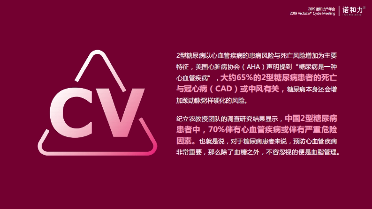 2019诺和力年会策划方案_第6页