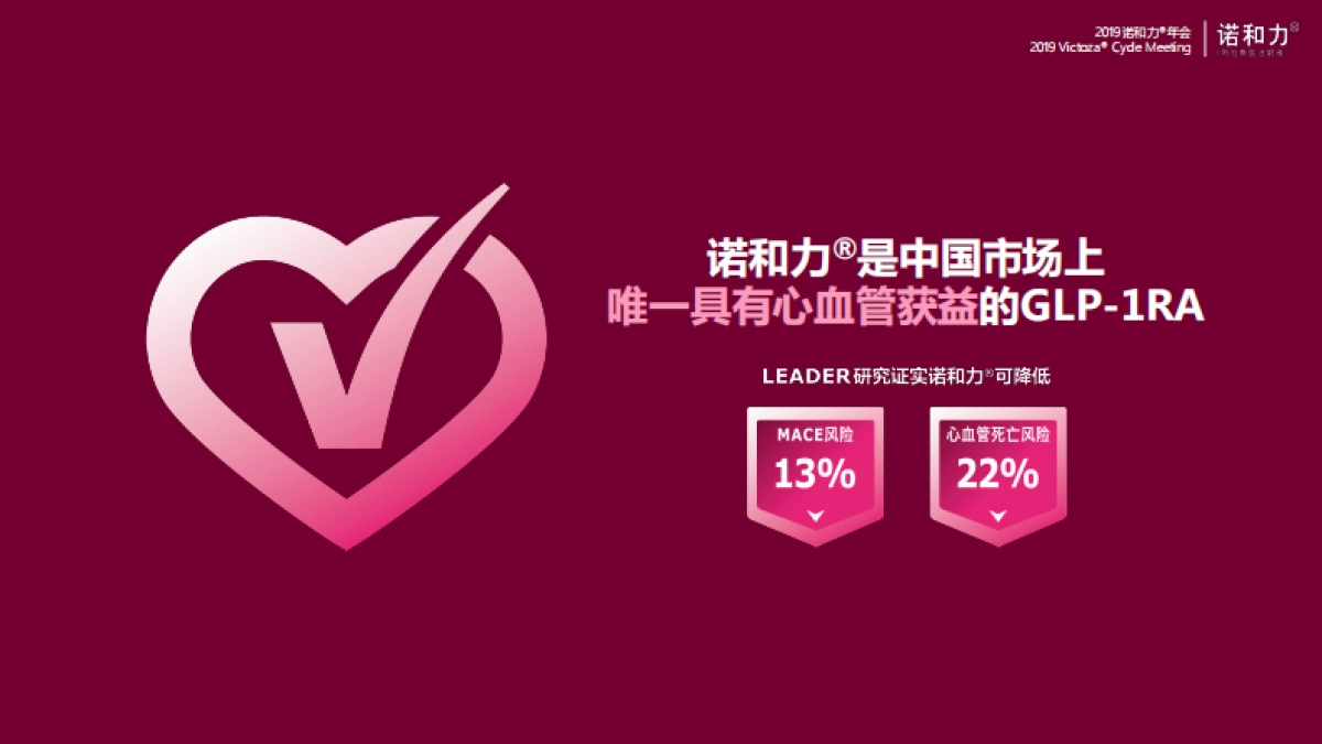 2019诺和力年会策划方案_第7页