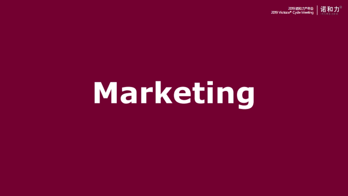 2019诺和力年会策划方案_第9页