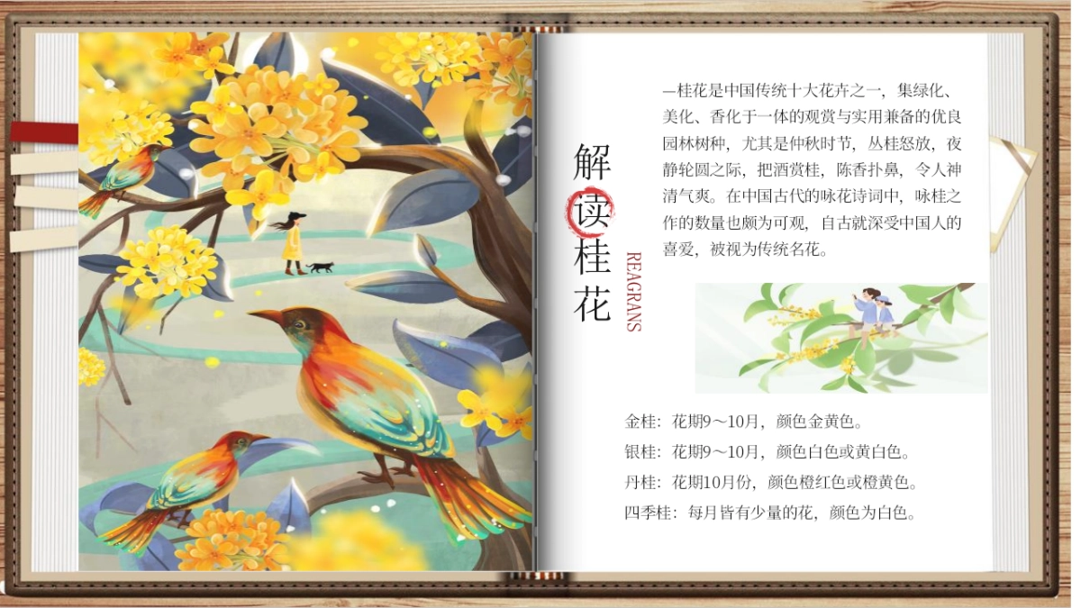 2020景区首届桂花节暨丰收宴“闻香识秋 丰味十足”活动策划方案_第5页