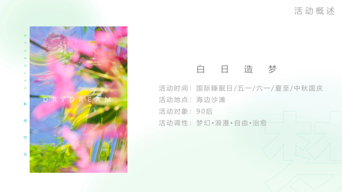 文旅项目海边造梦派对“白日造梦”主题活动策划方案_第9页